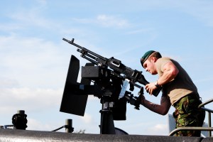 The cure for cats in the vegetable garden?