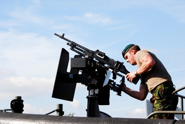 The cure for cats in the vegetable garden?