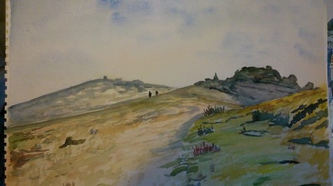 Up on the high moor near Belstone 