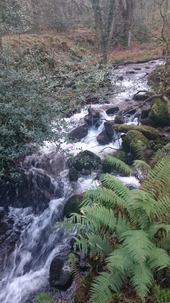 Cold and very wintry just now. Central heating is needed for freezing authors!